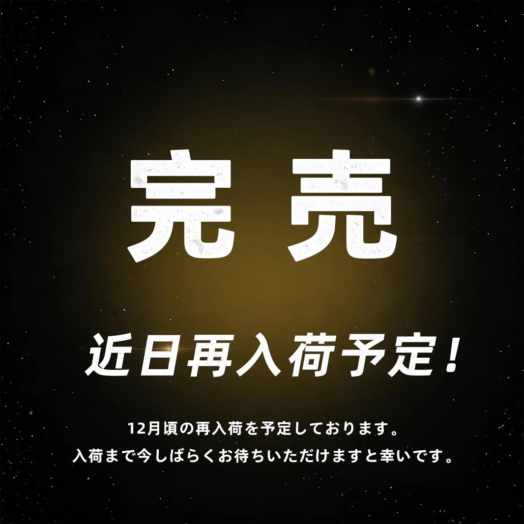 RIDEIRON USB電源 スマート電熱 バイクベスト| MJ5505H